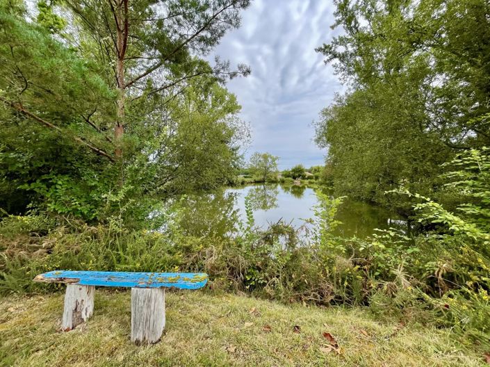 Image No.4-5 Bed House for sale