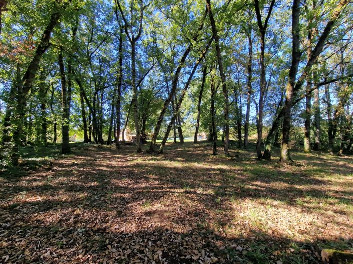 Image No.14-5 Bed Village House for sale