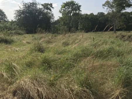 Image No.7-2 Bed House for sale