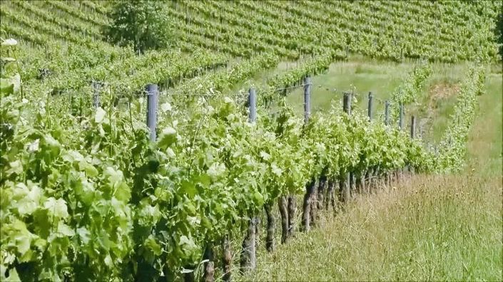 Image No.14-9 Bed House for sale