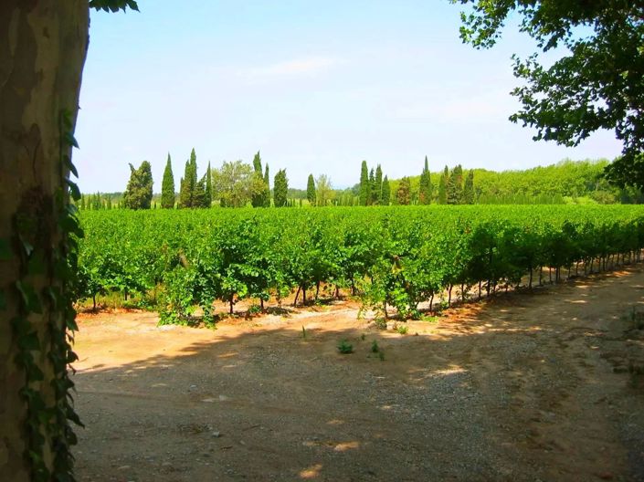 Image No.12-14 Bed House for sale