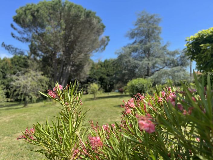 Image No.5-6 Bed House for sale