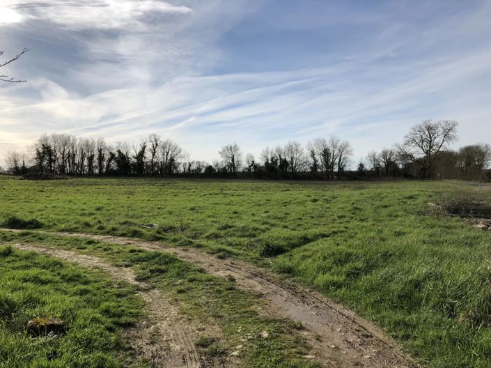 Image No.13-3 Bed House for sale