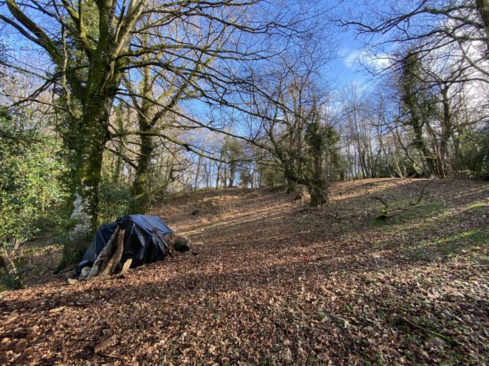 Image No.4-2 Bed Village House for sale