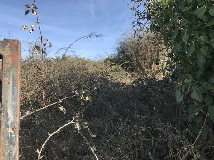 Image No.11-Barn for sale