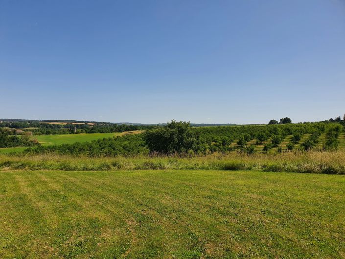 Image No.3-8 Bed House for sale