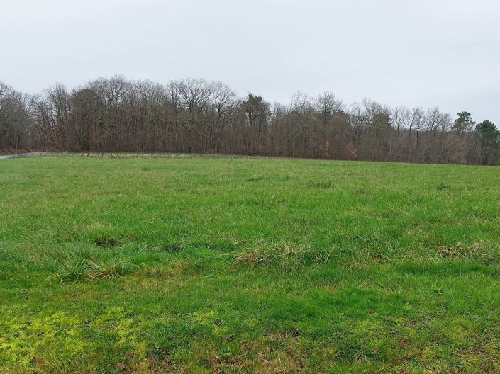 Image No.2-Property for sale