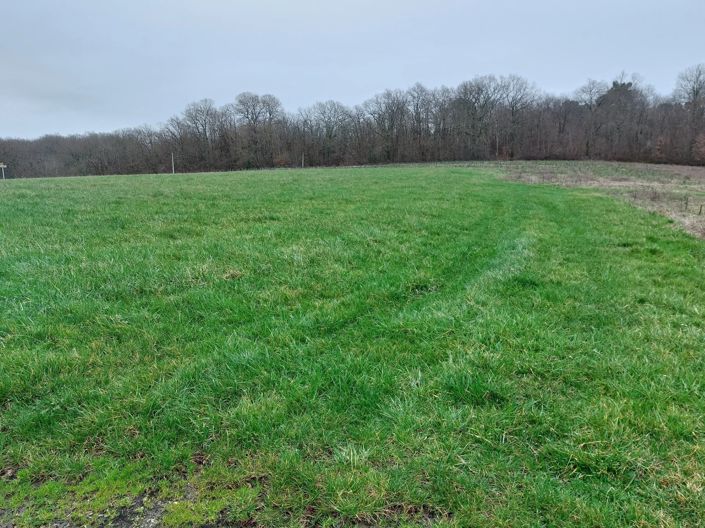 Image No.3-Property for sale