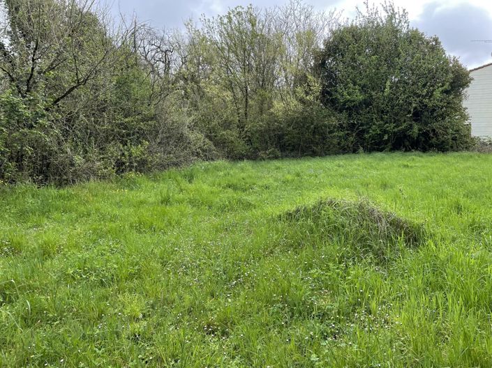 Image No.5-Property for sale