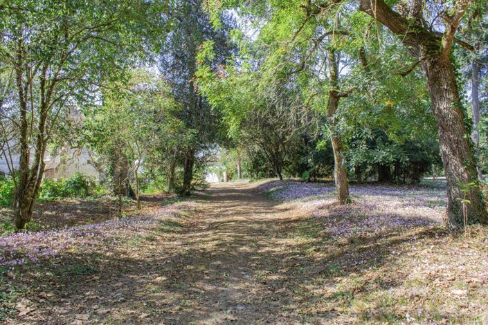 Image No.14-11 Bed House for sale