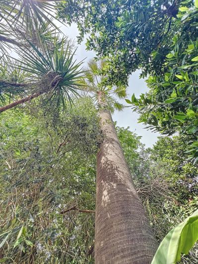 Image No.9-4 Bed Property for sale