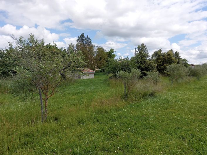 Image No.15-9 Bed House for sale