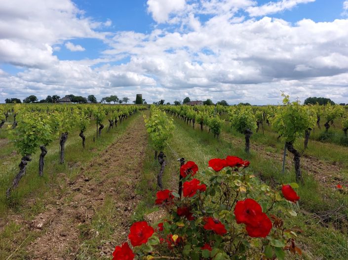 Image No.2-9 Bed House for sale