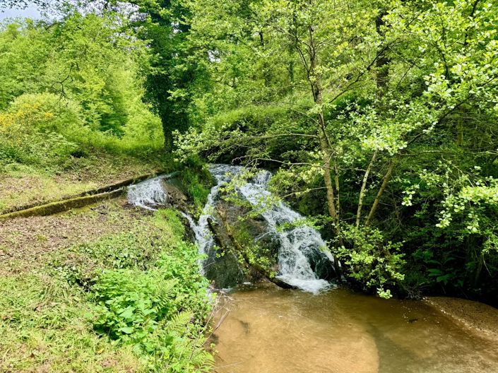 Image No.3-4 Bed House for sale