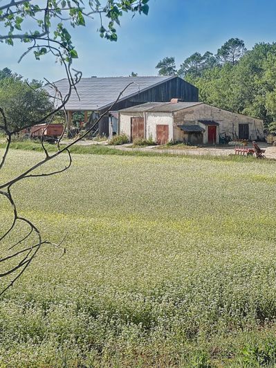 Image No.9-House for sale