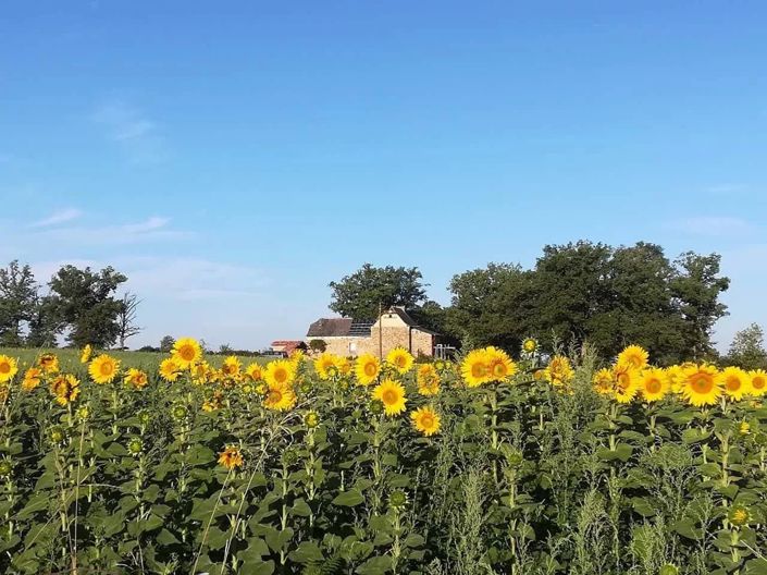 Image No.3-1 Bed House for sale