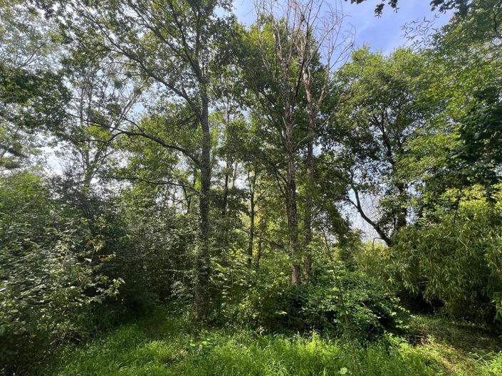 Image No.3-Property for sale