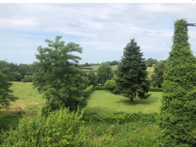 Image No.13-4 Bed House for sale