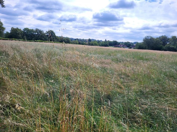 Image No.3-Property for sale