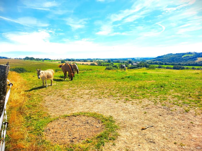 Image No.15-3 Bed House for sale