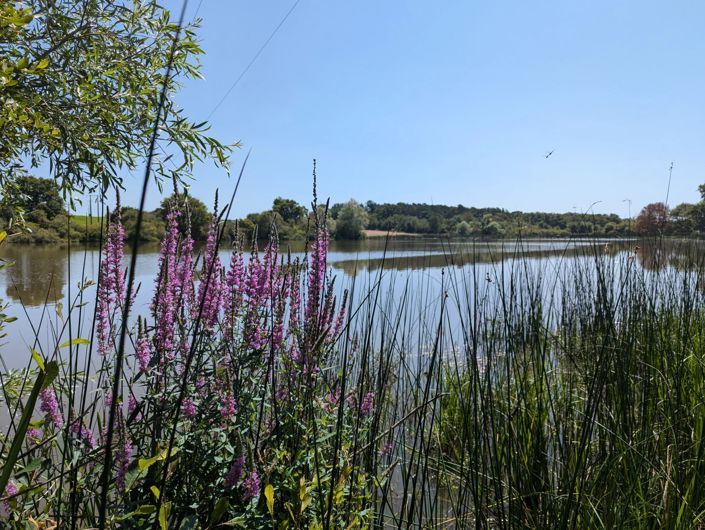 Image No.15-9 Bed House for sale