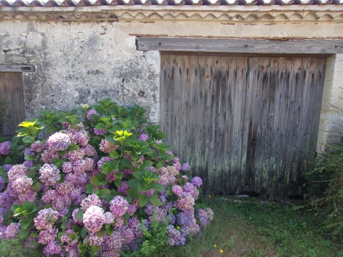 Image No.15-3 Bed Village House for sale