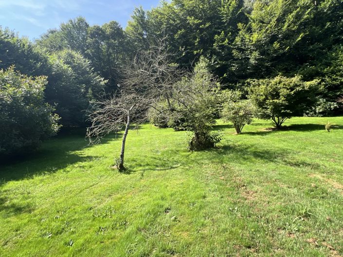 Image No.13-3 Bed House for sale