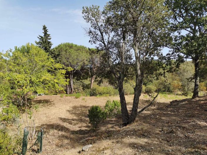 Image No.12-7 Bed House for sale