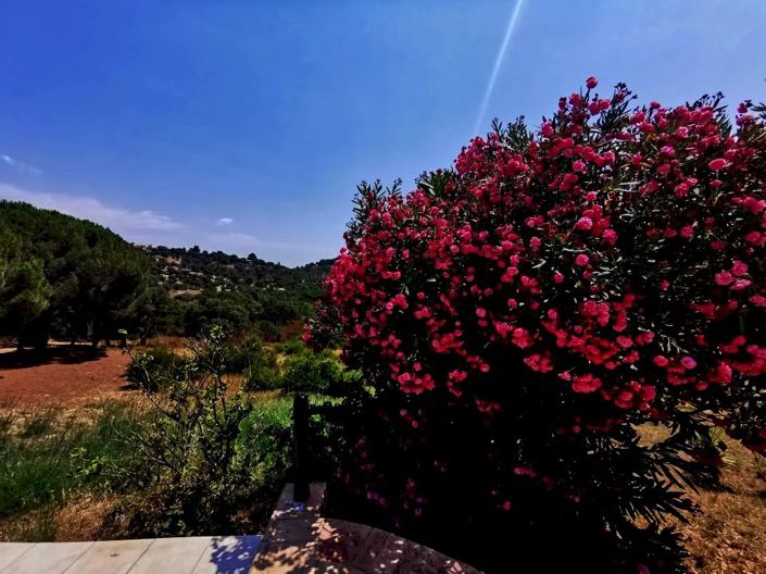 Image No.15-7 Bed House for sale