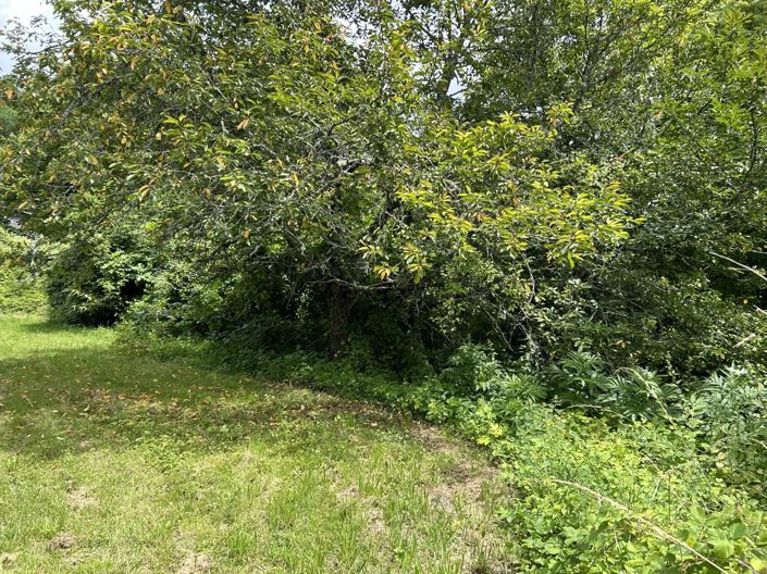 Image No.2-Property for sale