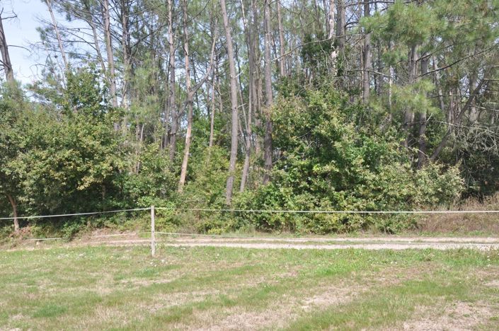 Image No.15-3 Bed House for sale