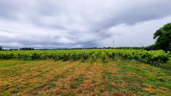 Image No.12-4 Bed House for sale