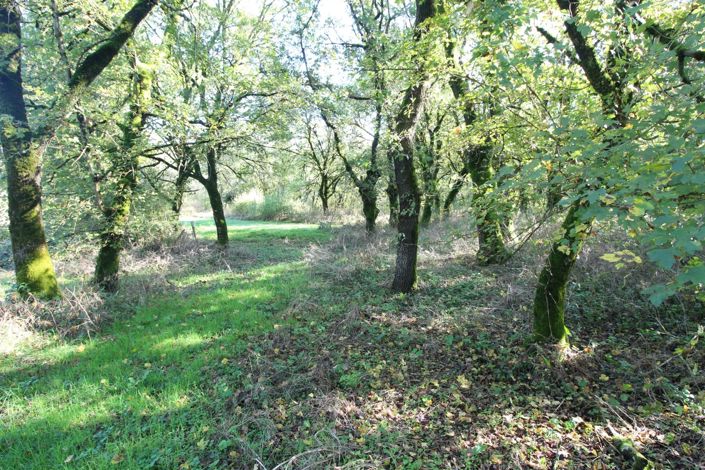 Image No.14-4 Bed House for sale