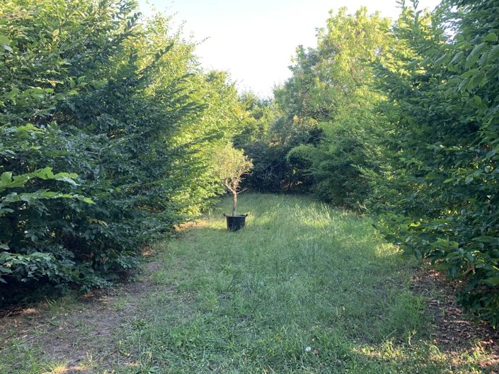 Image No.9-3 Bed House for sale