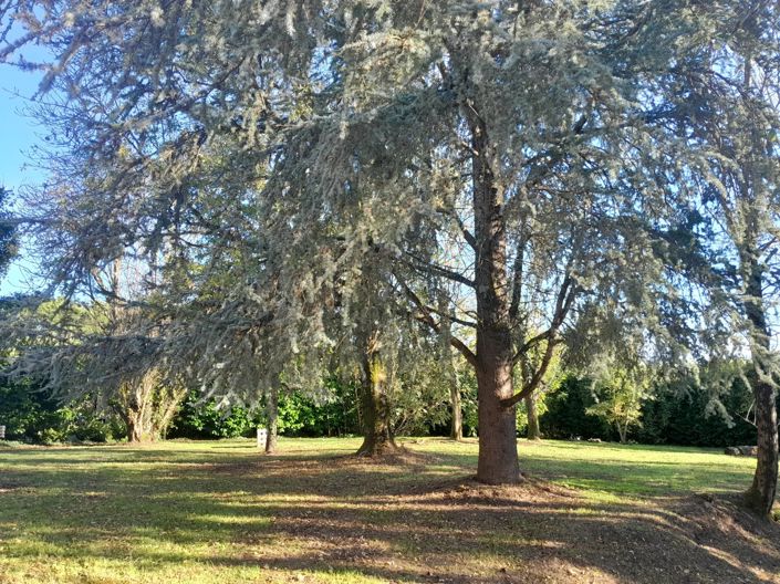 Image No.2-3 Bed House for sale