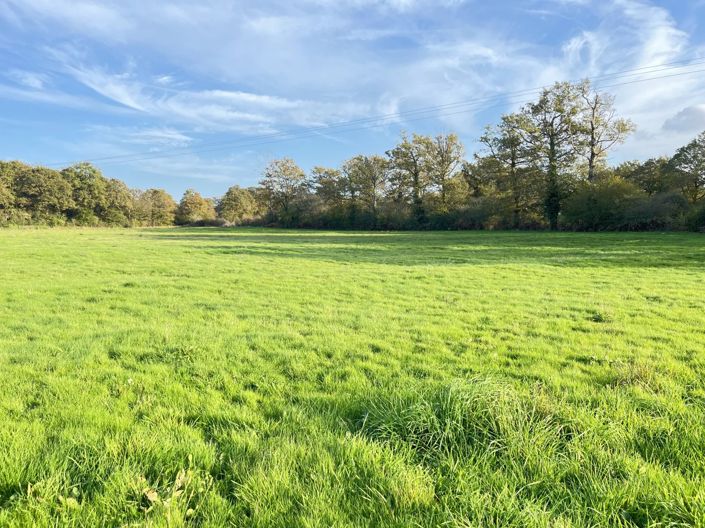 Image No.2-3 Bed House for sale