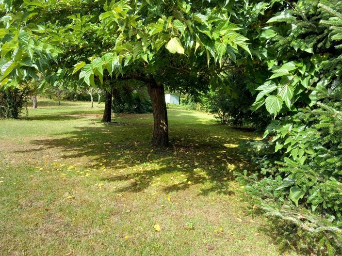 Image No.3-4 Bed House for sale