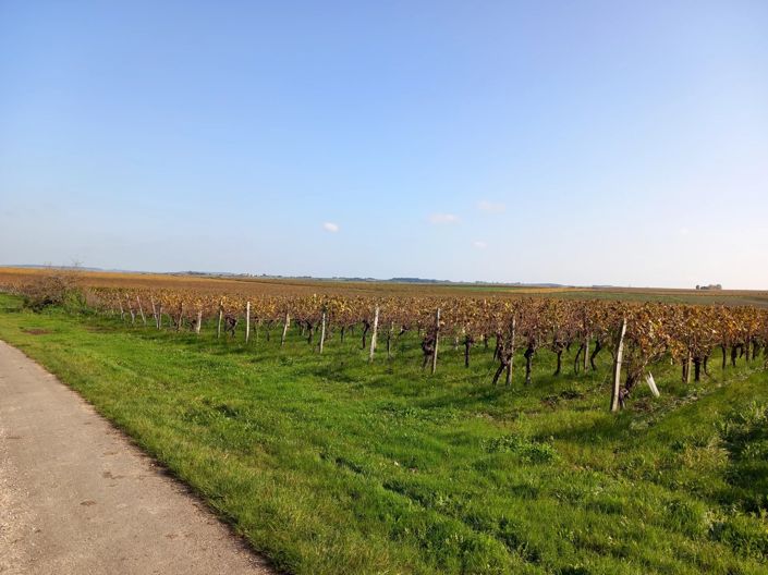 Image No.10-3 Bed House for sale