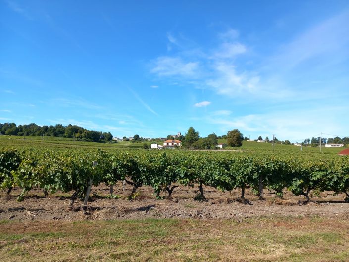 Image No.2-4 Bed House for sale