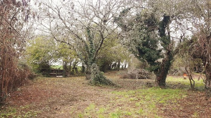 Image No.15-3 Bed House for sale