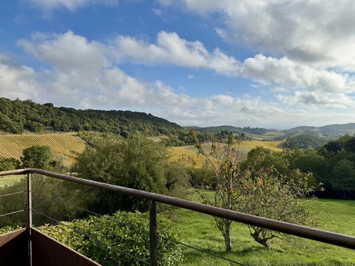 Image No.2-10 Bed House for sale