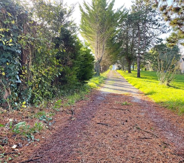 Image No.15-3 Bed House for sale