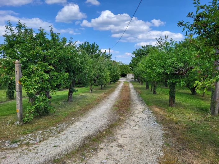 Image No.5-4 Bed House for sale