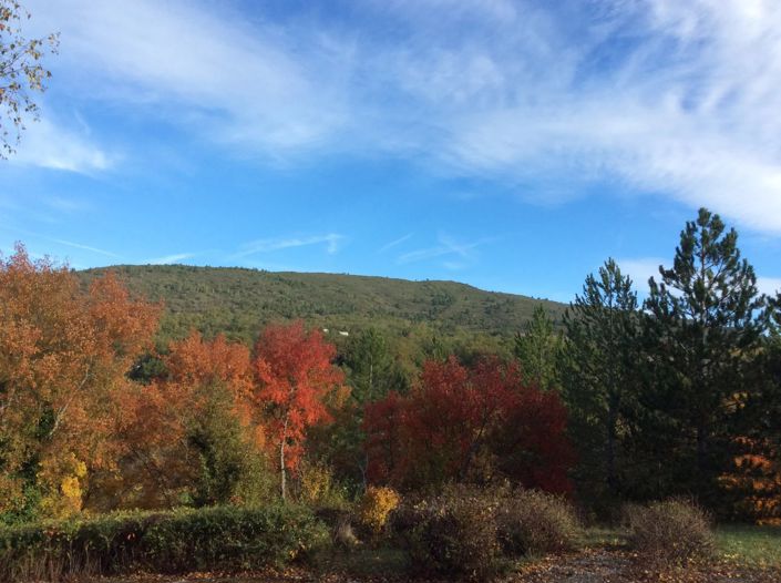 Image No.2-4 Bed House for sale