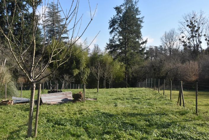 Image No.8-Village House for sale