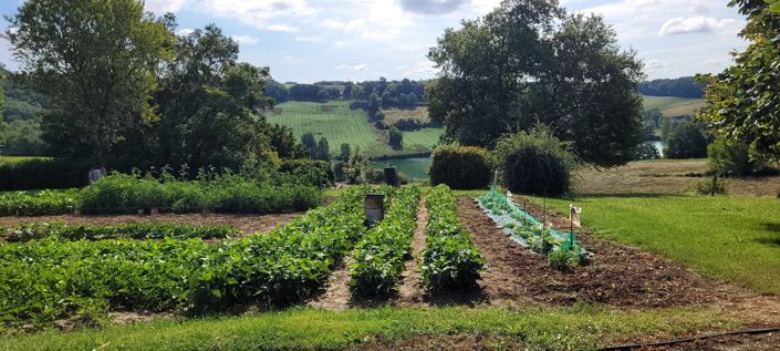 Image No.12-4 Bed House for sale