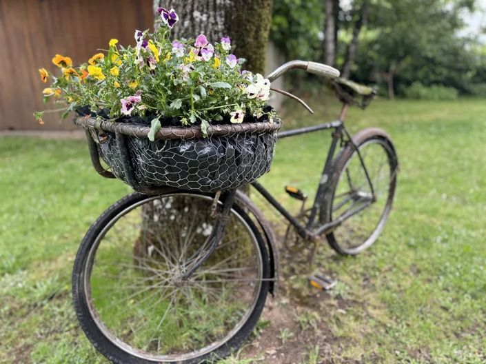 Image No.5-5 Bed House for sale