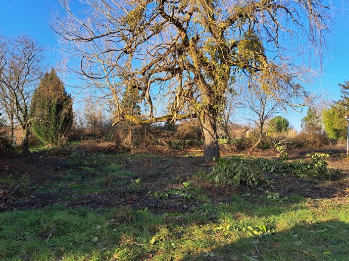 Image No.10-House for sale