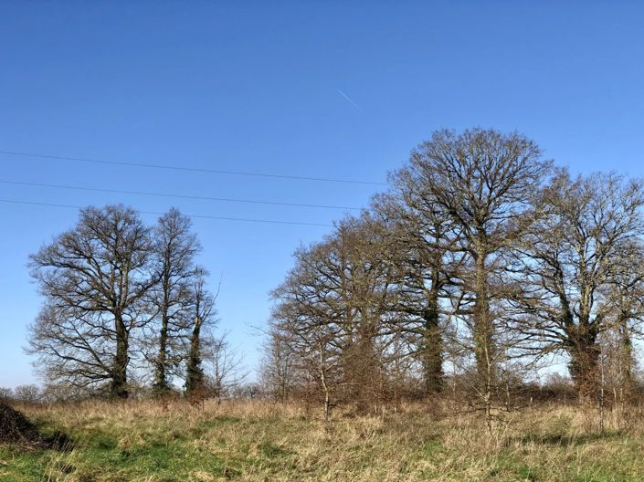 Image No.14-2 Bed House for sale