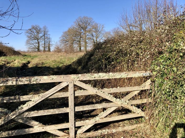 Image No.15-2 Bed House for sale